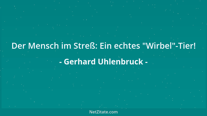 Gerhard Uhlenbruck - Der Mensch im Streß: Ein echtes  "Wirbel "-Tier!...