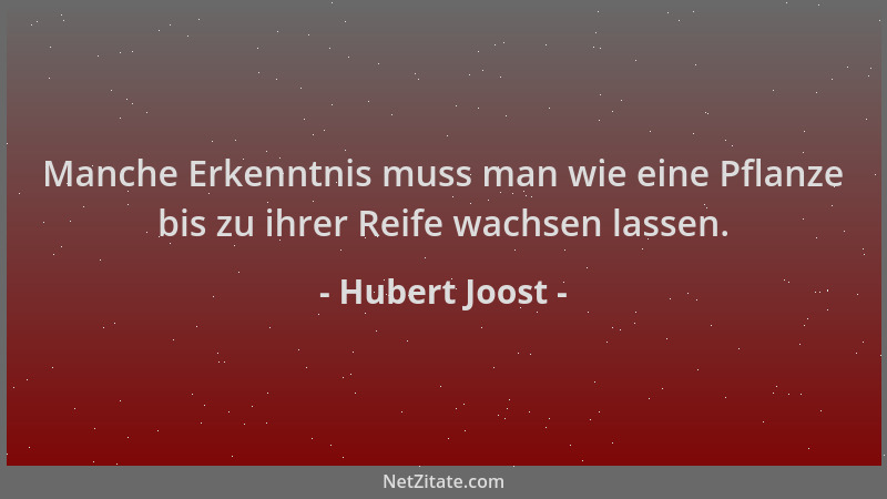 Hubert Joost - Manche Erkenntnis muss man wie eine Pflanze bis zu ihrer Reife wachsen lassen....