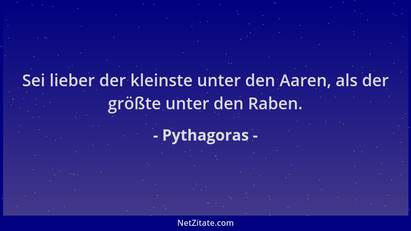 Pythagoras - Sei lieber der kleinste unter den Aaren, als der größte unter den Raben....