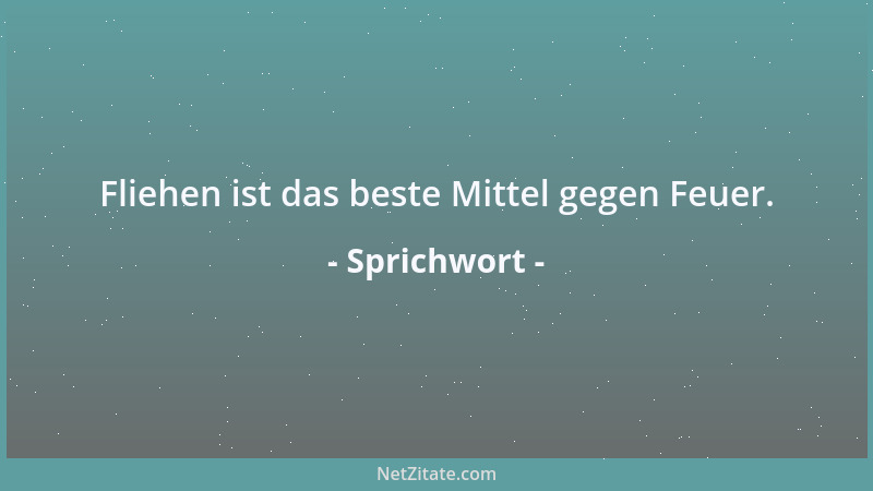 Sprichwort - Fliehen ist das beste Mittel gegen Feuer....