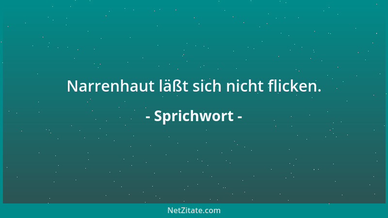 Sprichwort - Narrenhaut läßt sich nicht flicken....