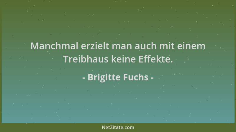 Brigitte Fuchs - Manchmal erzielt man auch mit einem Treibhaus keine Effekte....