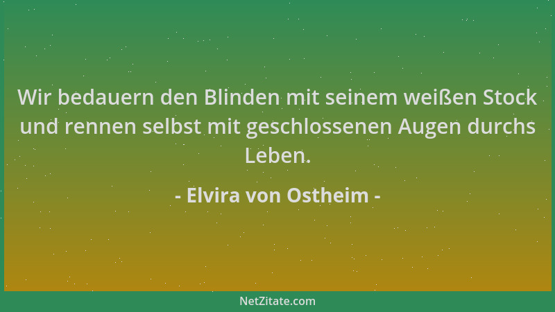 Elvira von Ostheim - Wir bedauern den Blinden mit seinem weißen Stock und rennen selbst mit geschlossenen Augen durchs Lebe...