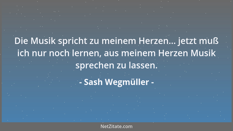 Sash Wegmüller - Die Musik spricht zu meinem Herzen... jetzt muß ich nur noch lernen, aus meinem Herzen Musik sprechen zu l...