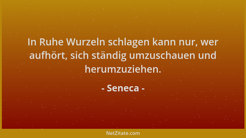 Seneca - In Ruhe Wurzeln schlagen kann nur, wer aufhört, sich ständig umzuschauen und herumzuziehen....