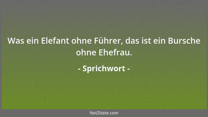 Sprichwort - Die Vorstellungen: was jeder in der Idee des Ganzen ist, sind die Ideale der Dinge....
