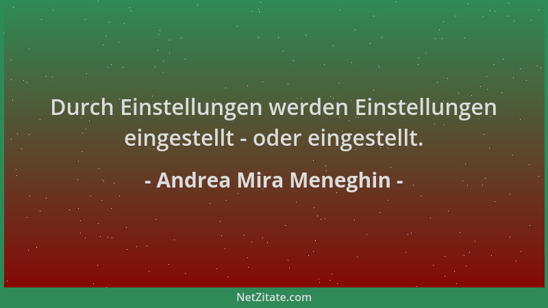 Andrea Mira Meneghin - Durch Einstellungen werden Einstellungen eingestellt - oder eingestellt....