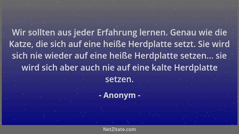 Anonym - Wir sollten aus jeder Erfahrung lernen. Genau wie die Katze, die sich auf eine heiße Herdplatte setzt. Sie wird si...