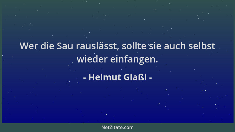 Helmut Glaßl - Wer die Sau rauslässt, sollte sie auch selbst wieder einfangen....