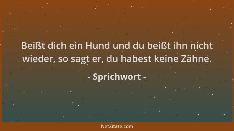Sprichwort - Beißt dich ein Hund und du beißt ihn nicht wieder, so sagt er, du habest keine Zähne....
