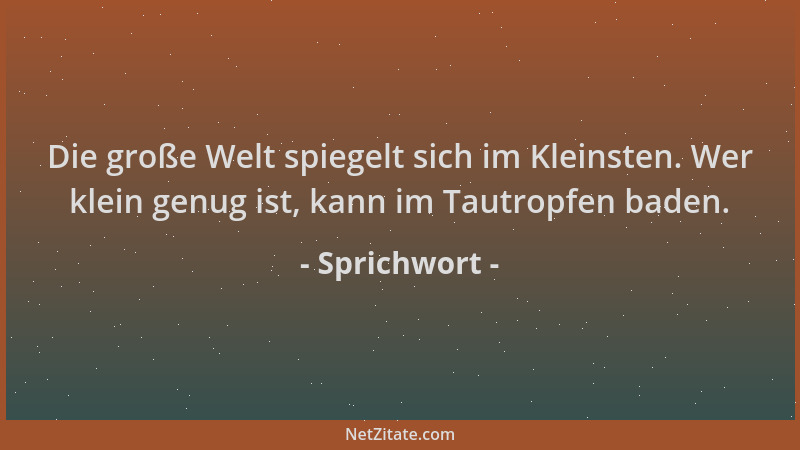 Sprichwort - Die große Welt spiegelt sich im Kleinsten. Wer klein genug ist, kann im Tautropfen baden....