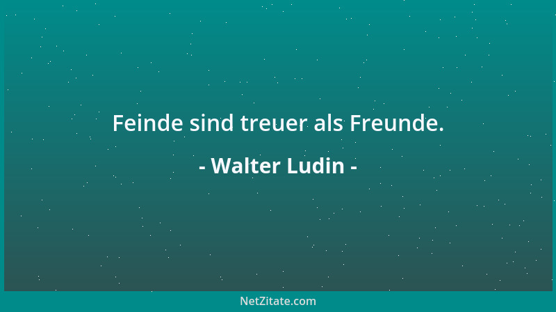 Walter Ludin - Feinde sind treuer als Freunde....