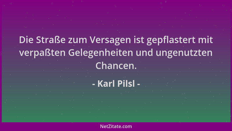 Karl Pilsl - Die Straße zum Versagen ist gepflastert mit verpaßten Gelegenheiten und ungenutzten Chancen....