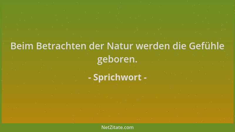 Sprichwort - Beim Betrachten der Natur werden die Gefühle geboren....