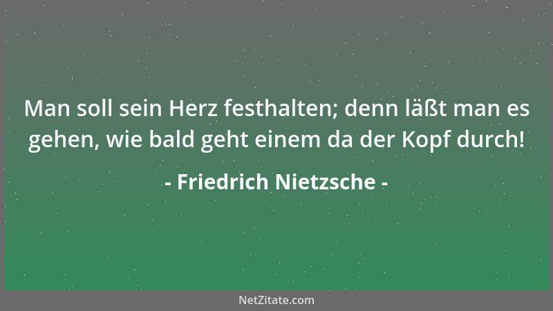 Friedrich Nietzsche - Wer sich stets zu viel geschont hat, der kränkelt zuletzt an seiner vielen Schonung. Gelobt sei, was...