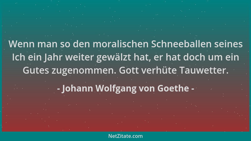 Johann Wolfgang von Goethe - Wenn man so den moralischen Schneeballen seines Ich ein Jahr weiter gewälzt hat, er hat doch u...