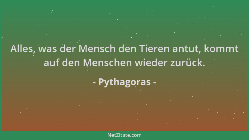 Pythagoras - Alles, was der Mensch den Tieren antut, kommt auf den Menschen wieder zurück....