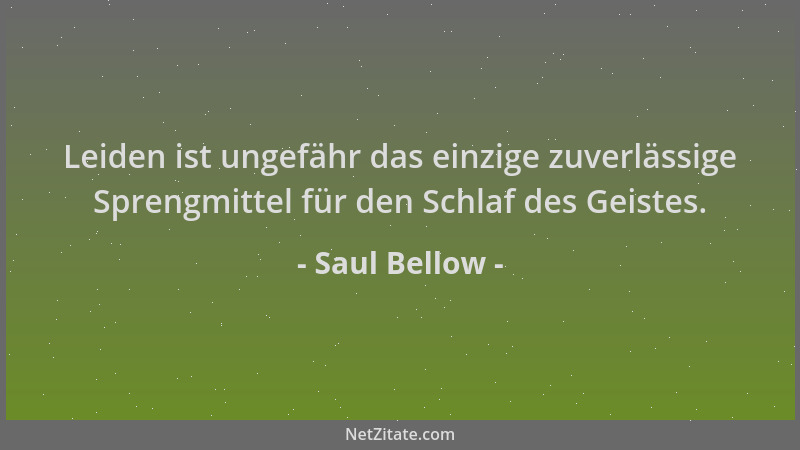 Saul Bellow - Leiden ist ungefähr das einzige zuverlässige Sprengmittel für den Schlaf des Geistes....