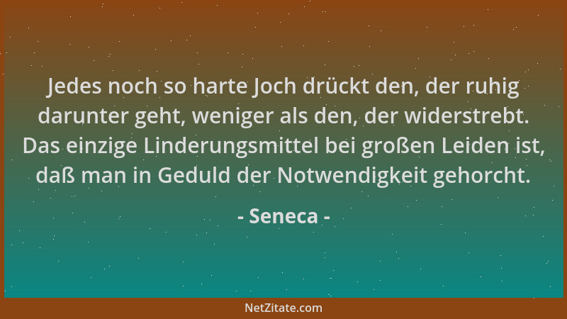 Seneca - Jedes noch so harte Joch drückt den, der ruhig darunter geht, weniger als den, der widerstrebt. Das einzige Linder...