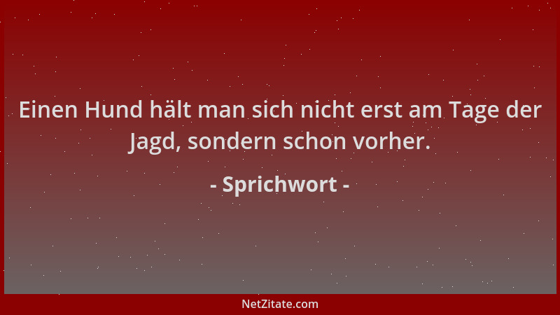 Sprichwort - Einen Hund hält man sich nicht erst am Tage der Jagd, sondern schon vorher....