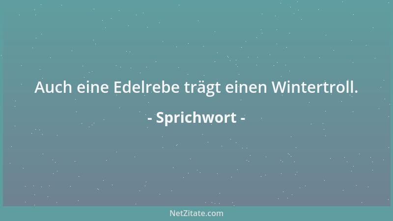 Sprichwort - Auch eine Edelrebe trägt einen Wintertroll....
