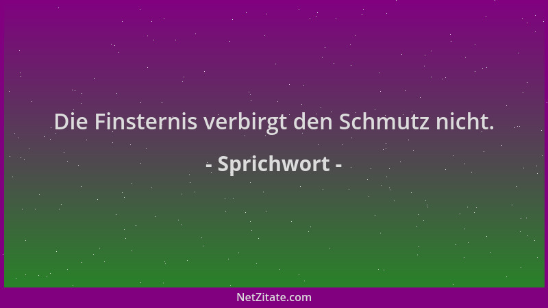 Sprichwort - Die Finsternis verbirgt den Schmutz nicht....