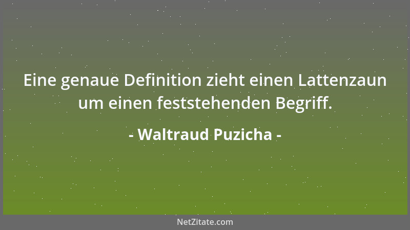 Waltraud Puzicha - Eine genaue Definition zieht einen Lattenzaun um einen feststehenden Begriff....