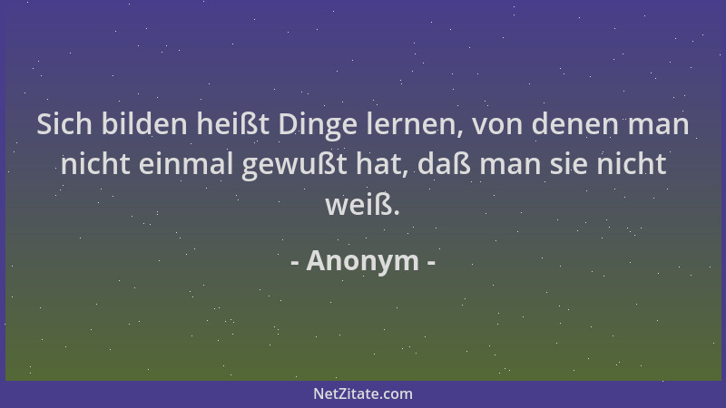 Anonym - Sich bilden heißt Dinge lernen, von denen man nicht einmal gewußt hat, daß man sie nicht weiß....