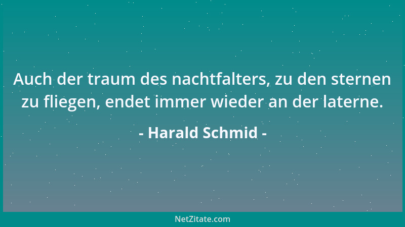 Harald Schmid - Auch der traum des nachtfalters, zu den sternen zu fliegen, endet immer wieder an der laterne....