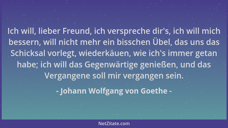 Johann Wolfgang von Goethe - Ich will, lieber Freund, ich verspreche dir 's, ich will mich bessern, will nicht mehr ein biss...