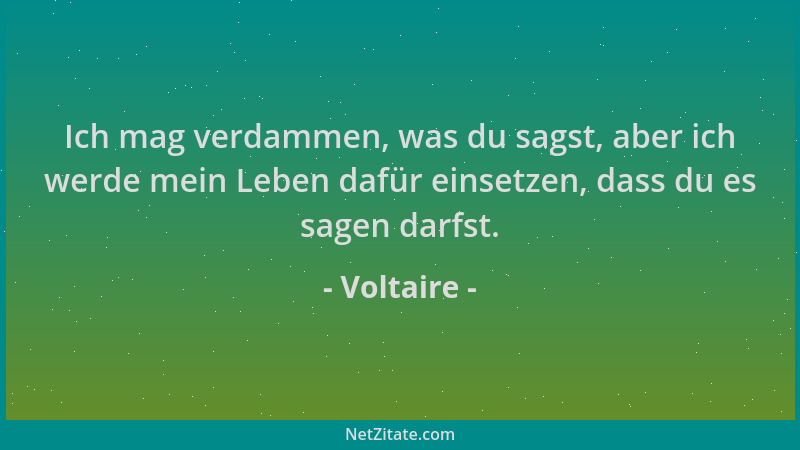 Voltaire - Ich mag verdammen, was du sagst, aber ich werde mein Leben dafür einsetzen, dass du es sagen darfst....