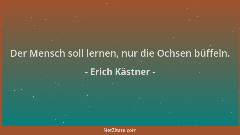 Erich Kästner - Der Mensch soll lernen, nur die Ochsen büffeln....