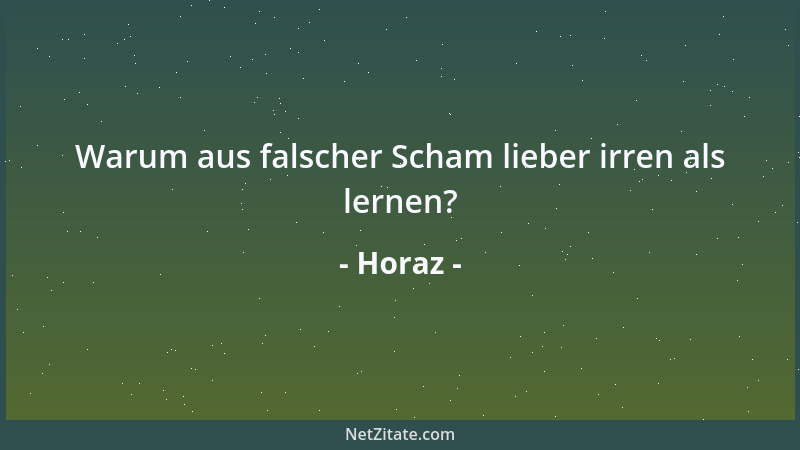 Horaz - Warum aus falscher Scham lieber irren als lernen?...