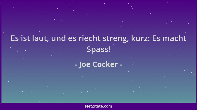 Joe Cocker - Es ist laut, und es riecht streng, kurz: Es macht Spass!...