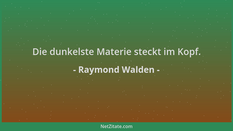 Raymond Walden - Die dunkelste Materie steckt im Kopf....