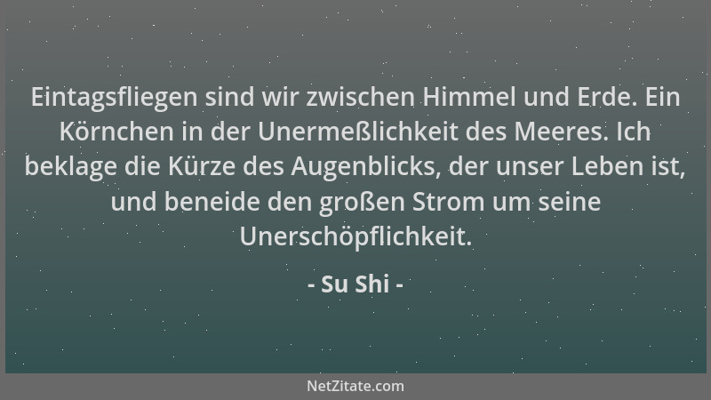 Su Shi - Eintagsfliegen sind wir zwischen Himmel und Erde. Ein Körnchen in der Unermeßlichkeit des Meeres. Ich beklage die...