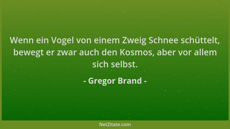 Gregor Brand - Wenn ein Vogel von einem Zweig Schnee schüttelt, bewegt er zwar auch den Kosmos, aber vor allem sich selbst....