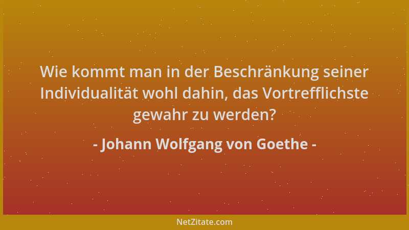 Johann Wolfgang von Goethe - Wie kommt man in der Beschränkung seiner Individualität wohl dahin, das Vortrefflichste gewahr...