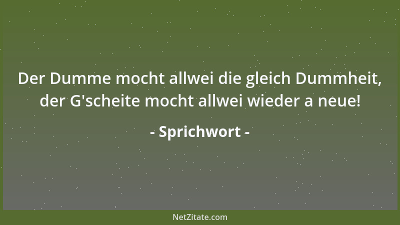 Sprichwort - Der Dumme mocht allwei die gleich Dummheit, der G 'scheite mocht allwei wieder a neue!...