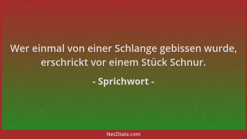 Sprichwort - Wer einmal von einer Schlange gebissen wurde, erschrickt vor einem Stück Schnur....