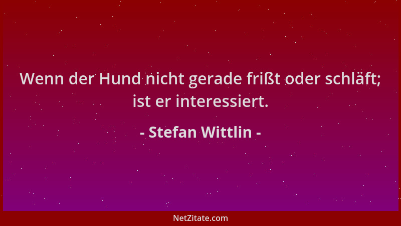 Stefan Wittlin - Wenn der Hund nicht gerade frißt oder schläft; ist er interessiert....