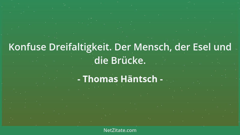 Thomas Häntsch - Konfuse Dreifaltigkeit. Der Mensch, der Esel und die Brücke....