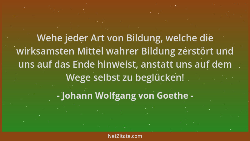 Johann Wolfgang von Goethe - Wehe jeder Art von Bildung, welche die wirksamsten Mittel wahrer Bildung zerstört und uns auf...