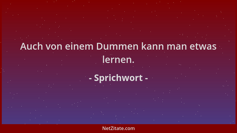 Sprichwort - Auch von einem Dummen kann man etwas lernen....