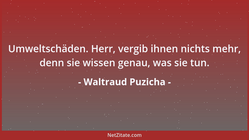 Waltraud Puzicha - Umweltschäden. Herr, vergib ihnen nichts mehr, denn sie wissen genau, was sie tun....