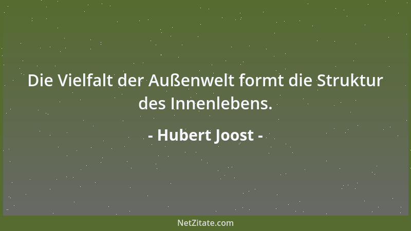 Hubert Joost - Die Vielfalt der Außenwelt formt die Struktur des Innenlebens....
