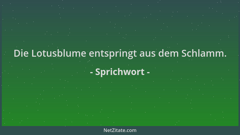 Sprichwort - Die Lotusblume entspringt aus dem Schlamm....