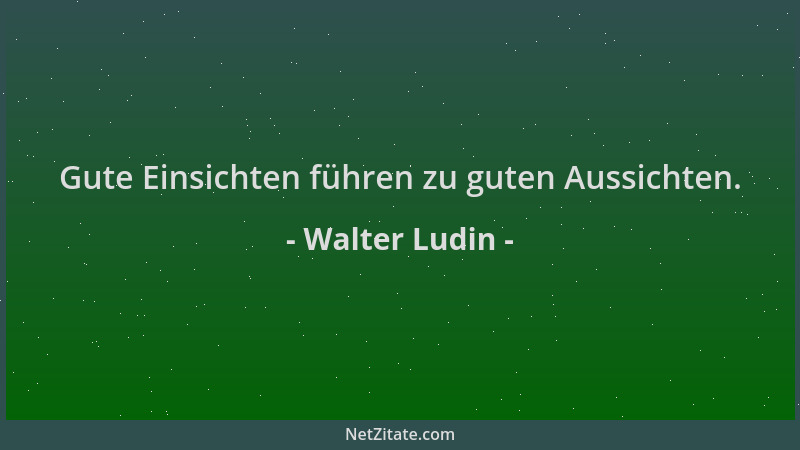 Walter Ludin - Gute Einsichten führen zu guten Aussichten....