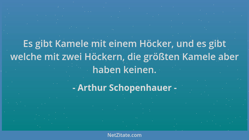 Arthur Schopenhauer - Es gibt Kamele mit einem Höcker, und es gibt welche mit zwei Höckern, die größten Kamele aber haben k...
