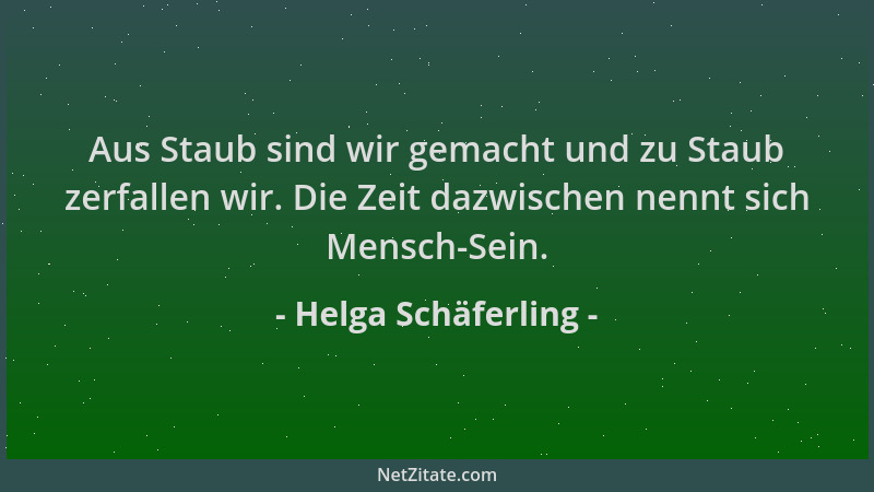 Helga Schäferling - Aus Staub sind wir gemacht und zu Staub zerfallen wir. Die Zeit dazwischen nennt sich Mensch-Sein....